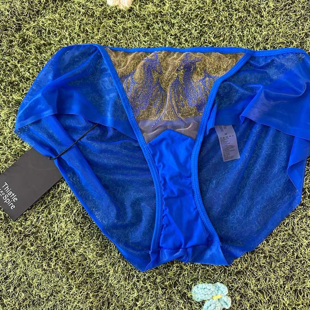 Thistle and Spire Blue Lace Dragon Panty